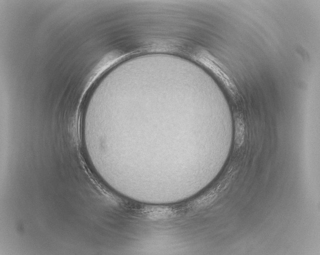 X0000115510886200912181443