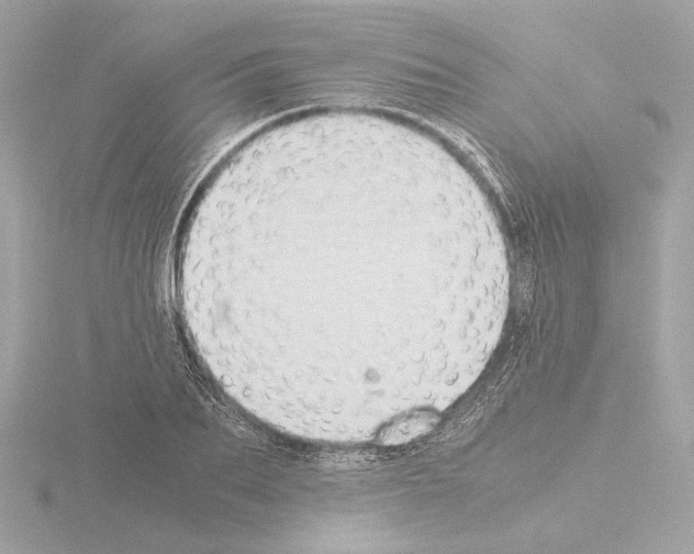 X0000115510887200912181443