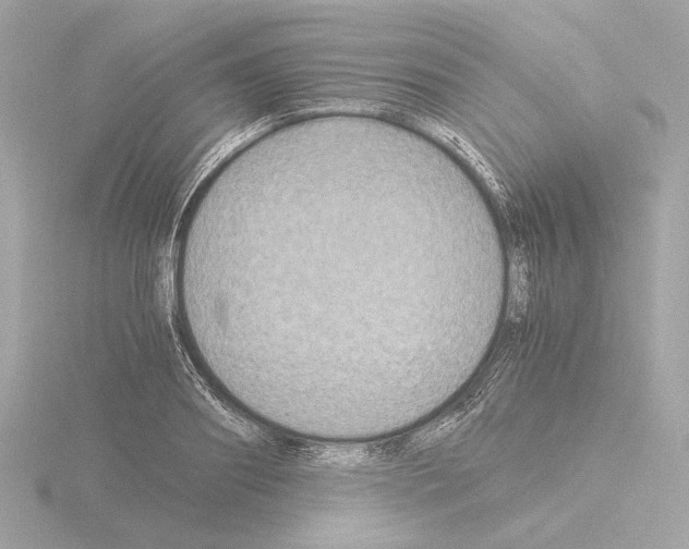 X0000115510890200912181443