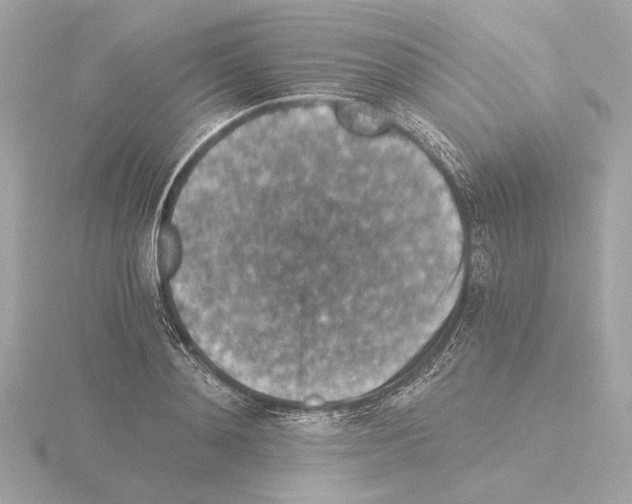 X0000115510892200912181443