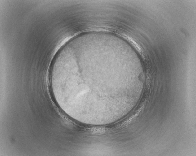 X0000115510893200912181443