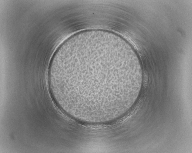 X0000115510895200912181442