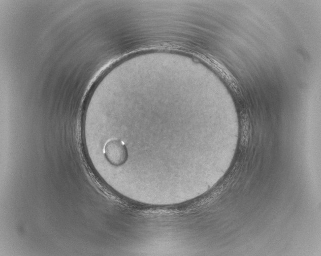 X0000115510896200912181442