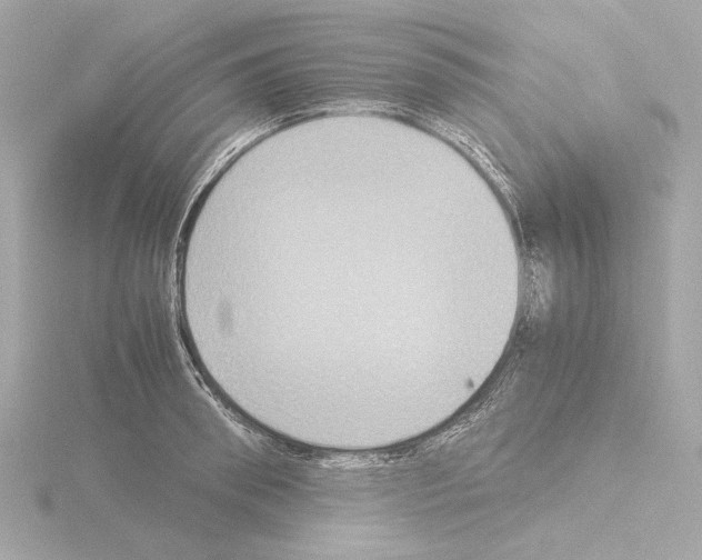 X0000115510898200912181442