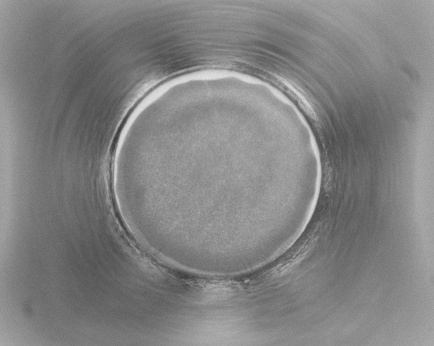 X0000115510899200912181442