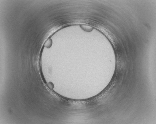 X0000115510901200912181442