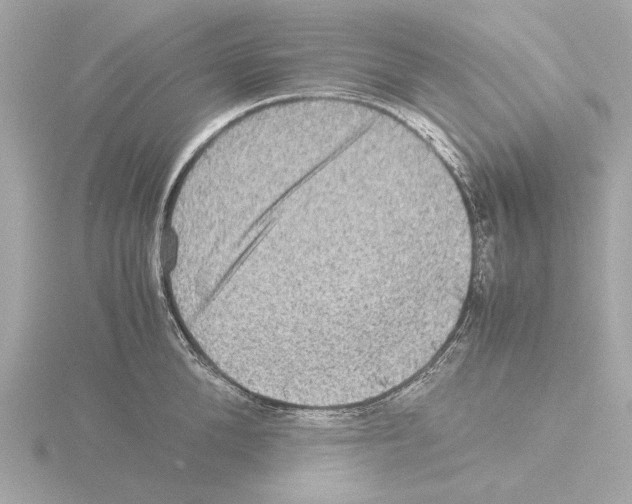 X0000115510904200912181442