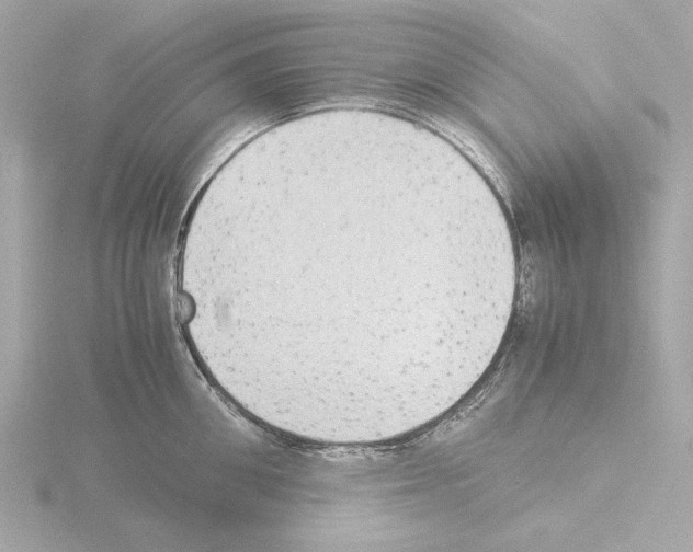 X0000115510906200912181442