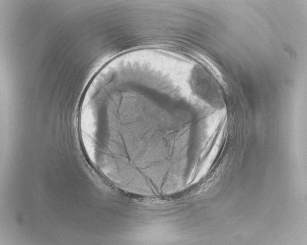 X0000115510907200912181442