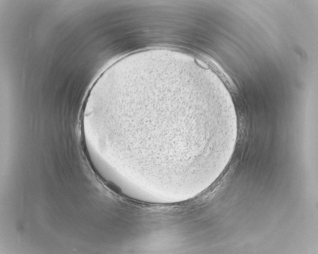 X0000115510908200912181442