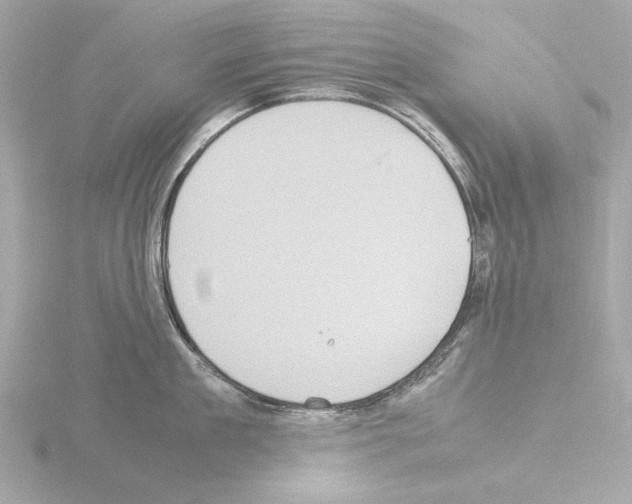 X0000115510909200912181442