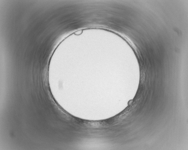 X0000115510911200912181442