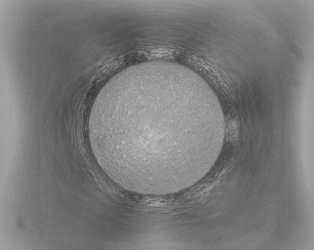 X0000115510913200912181442