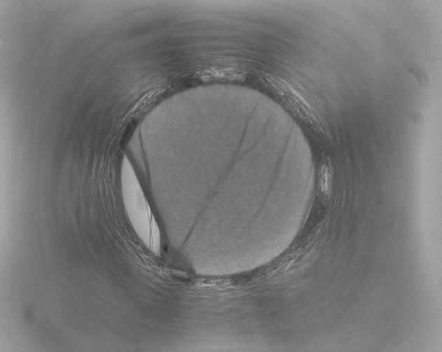 X0000115510915200912181442