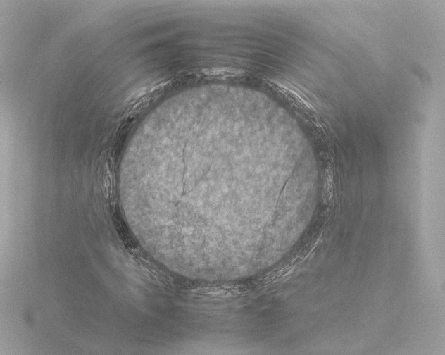 X0000115510917200912181442