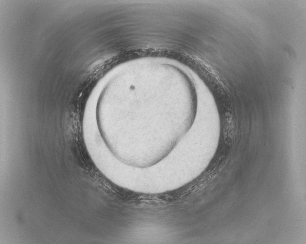 X0000115510918200912181442