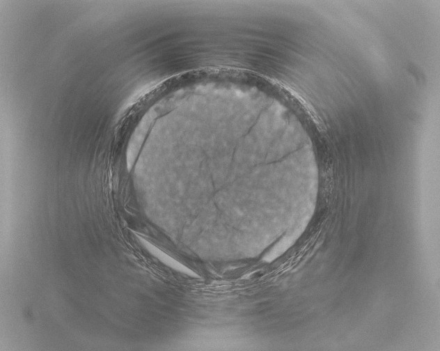 X0000115510919200912181442