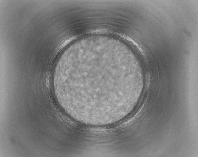 X0000115510921200912181442