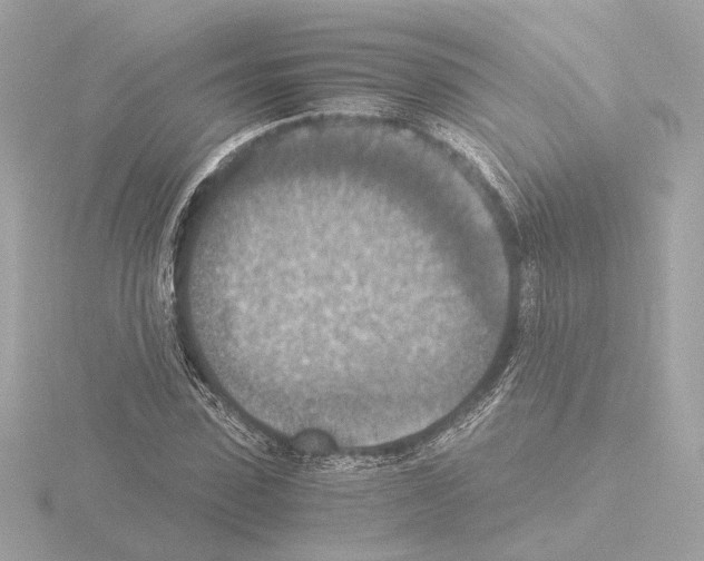 X0000115510923200912181442