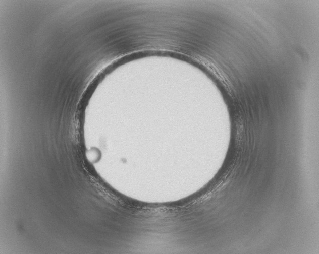 X0000115510926200912181442