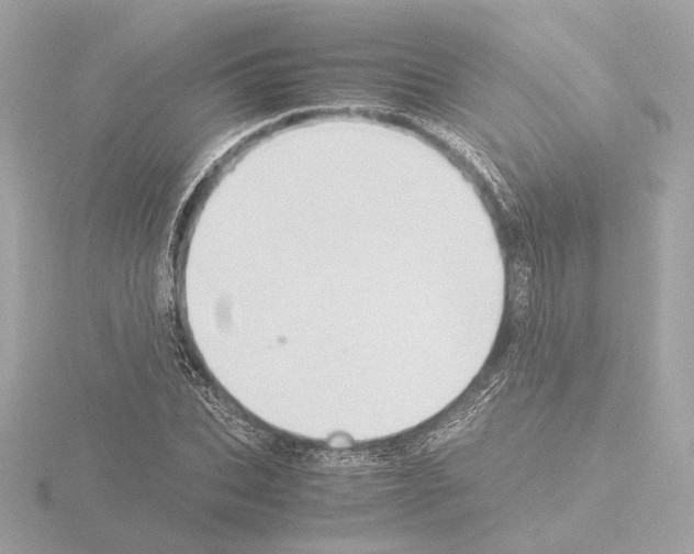 X0000115510927200912181442