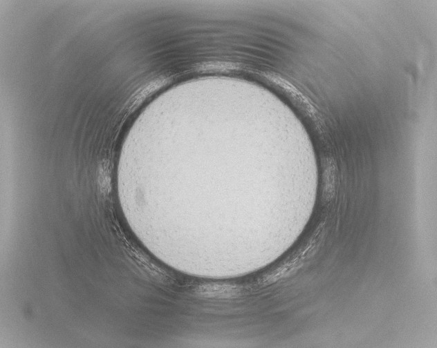 X0000115510929200912181442