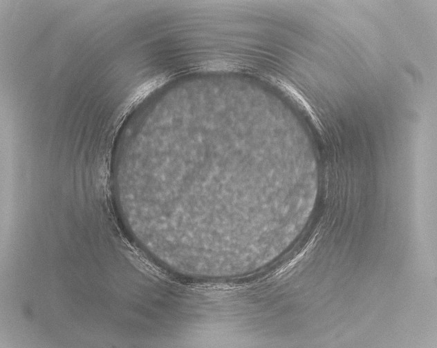 X0000115510930200912181442