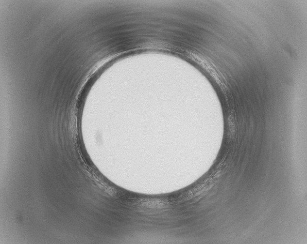 X0000115510931200912181442