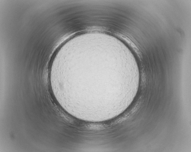 X0000115510933200912181442