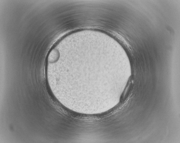 X0000115510934200912181442