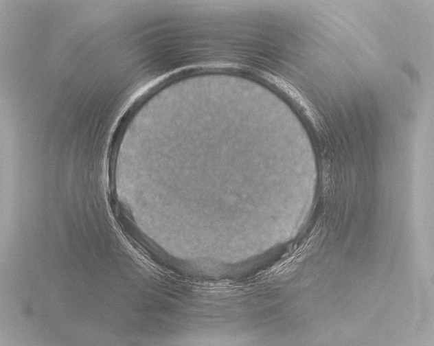 X0000115510935200912181442