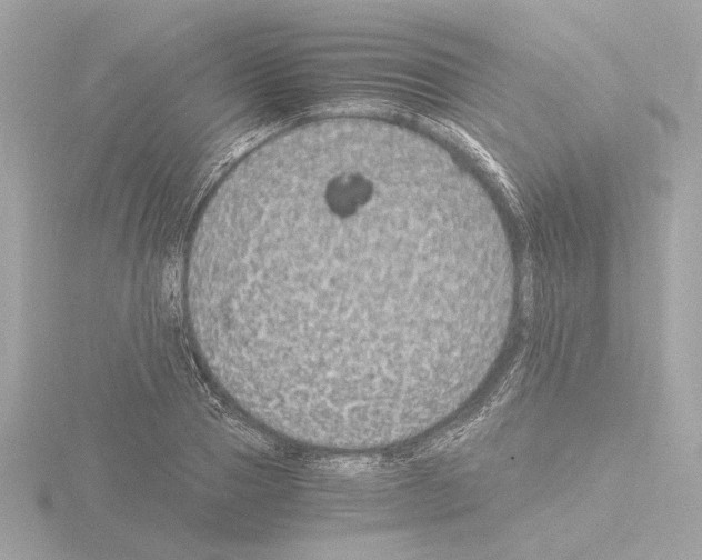 X0000115510937200912181442