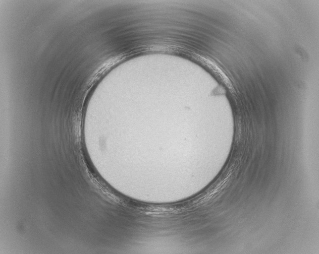 X0000115510938200912181442