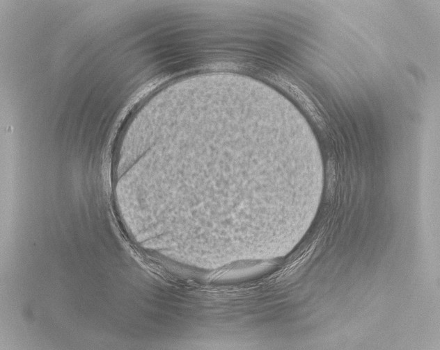 X0000115510939200912181442