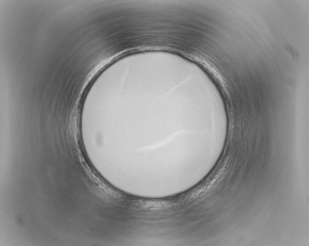 X0000115510941200912181442