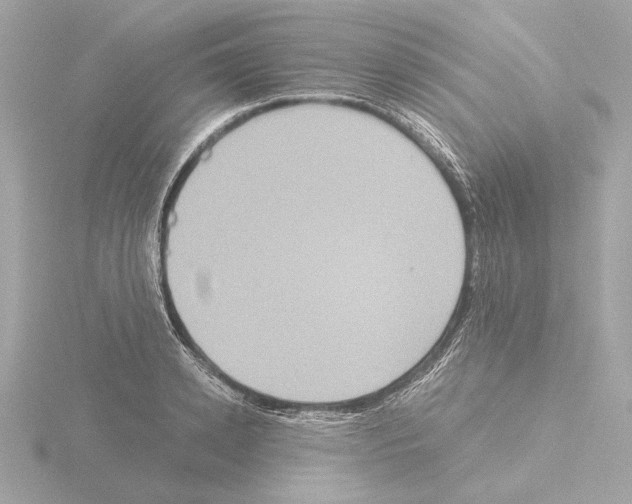 X0000115510942200912181442