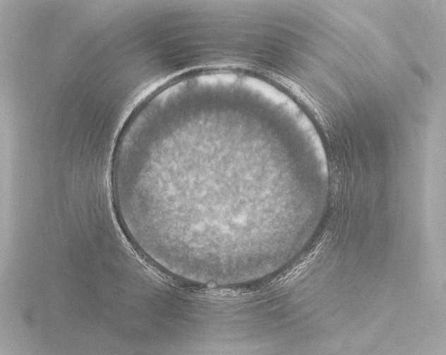 X0000115510943200912181442