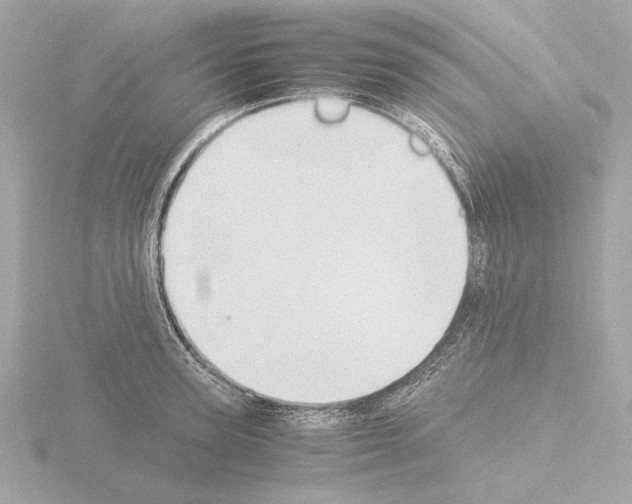 X0000115510947200912181442