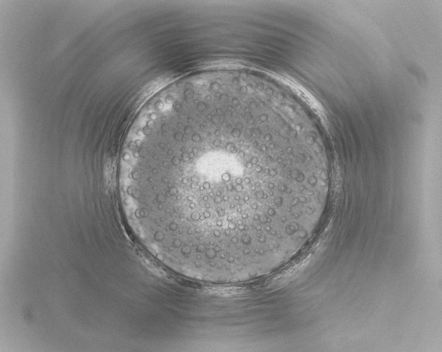 X0000115510953200912181442