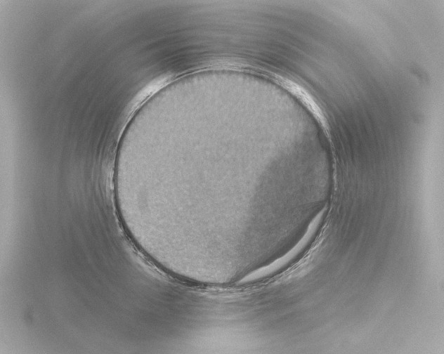 X0000115510954200912181442