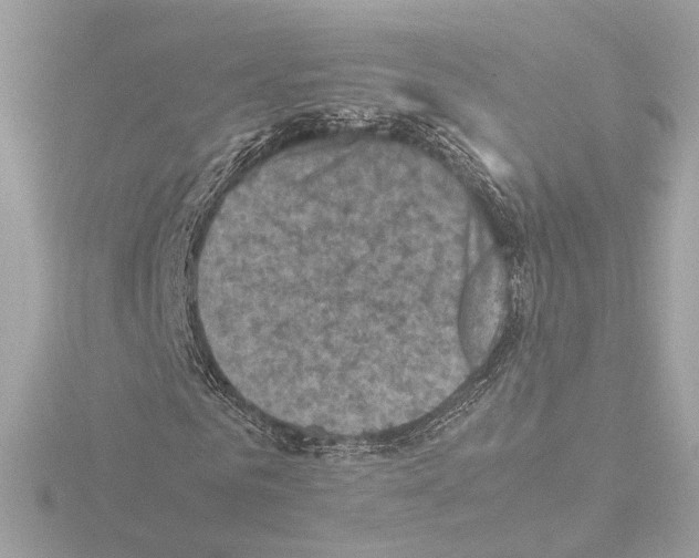 X0000115510961200912181442