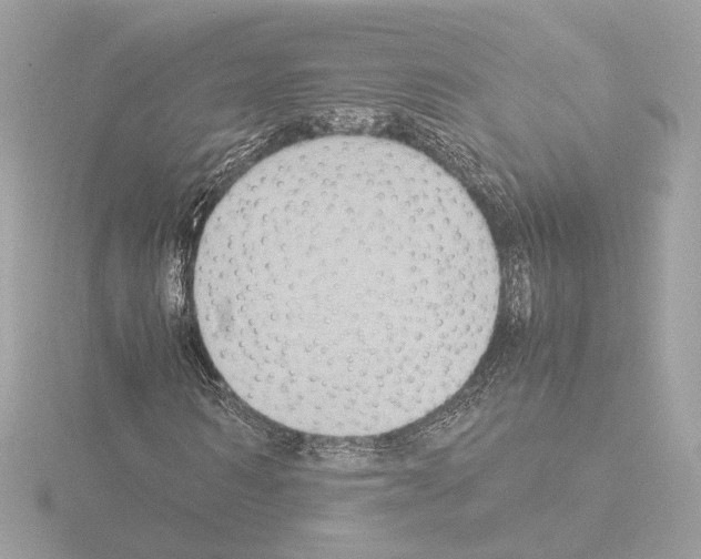 X0000115510962200912181442