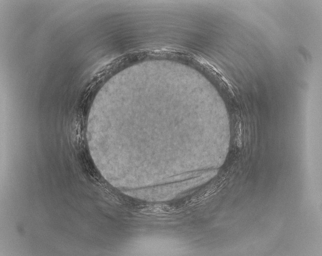 X0000115510966200912181442