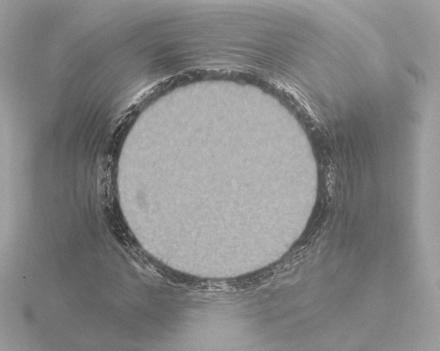 X0000115510968200912181442