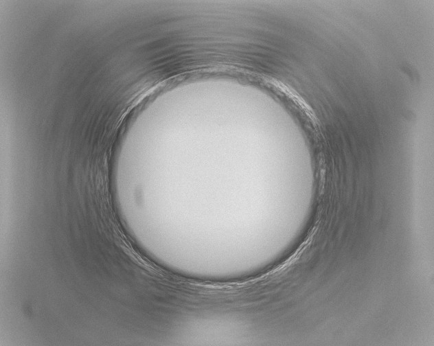 X0000115510969200912181442