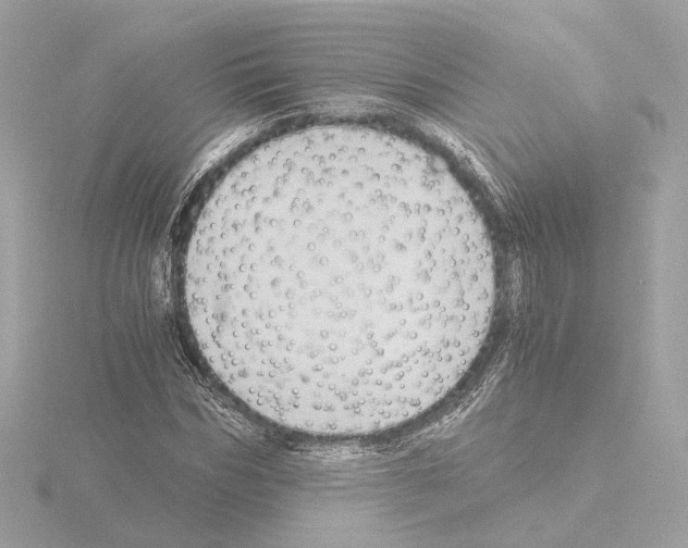 X0000115510970200912181442