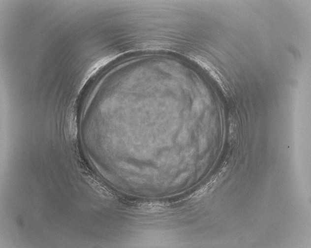 X0000115510973200912181441