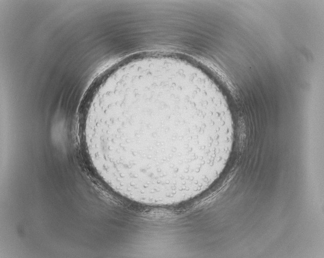 X0000115510974200912181441