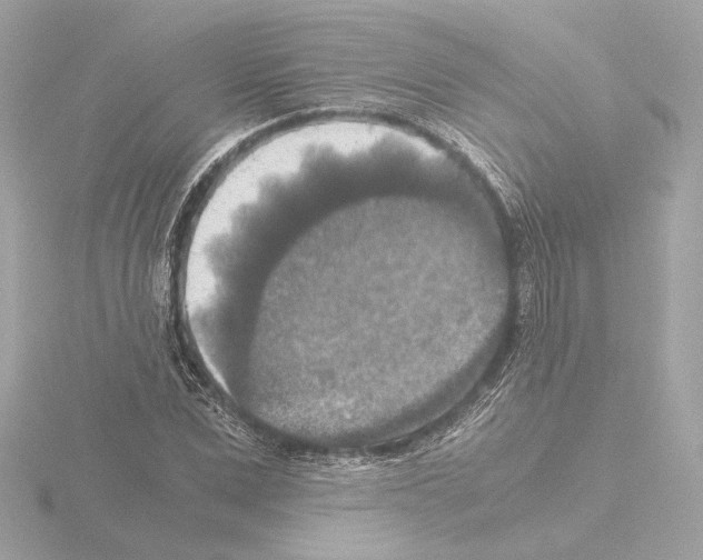 X0000115510975200912181441