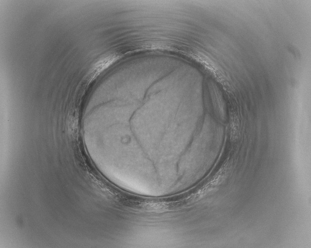 X0000115510977200912181441